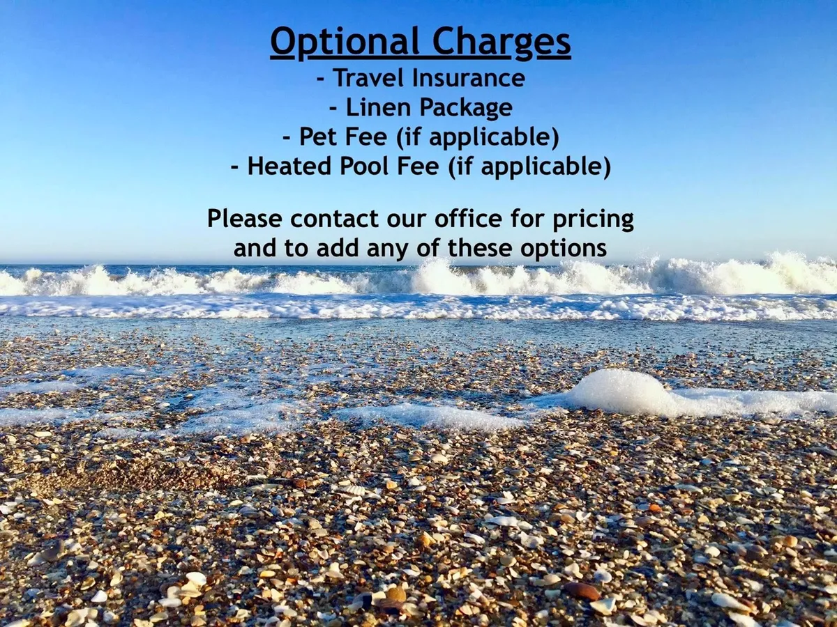 A serene view of soft ocean waves gently rolling onto a sandy beach, with seashells scattered along the shoreline. The open beach environment is tranquil, natural, and inviting—ideal for morning strolls or playing fetch with your dog.